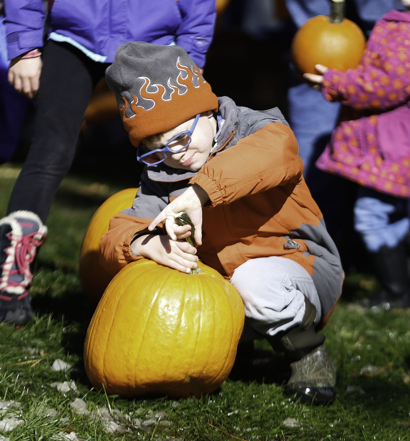 Fall Fest